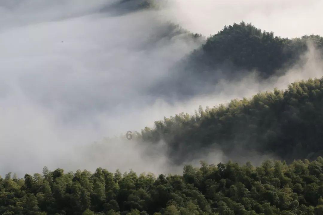 微信限额了怎么办怎么解除呢证书停用什么意思红迪网-分享与讨论的热门主题社区